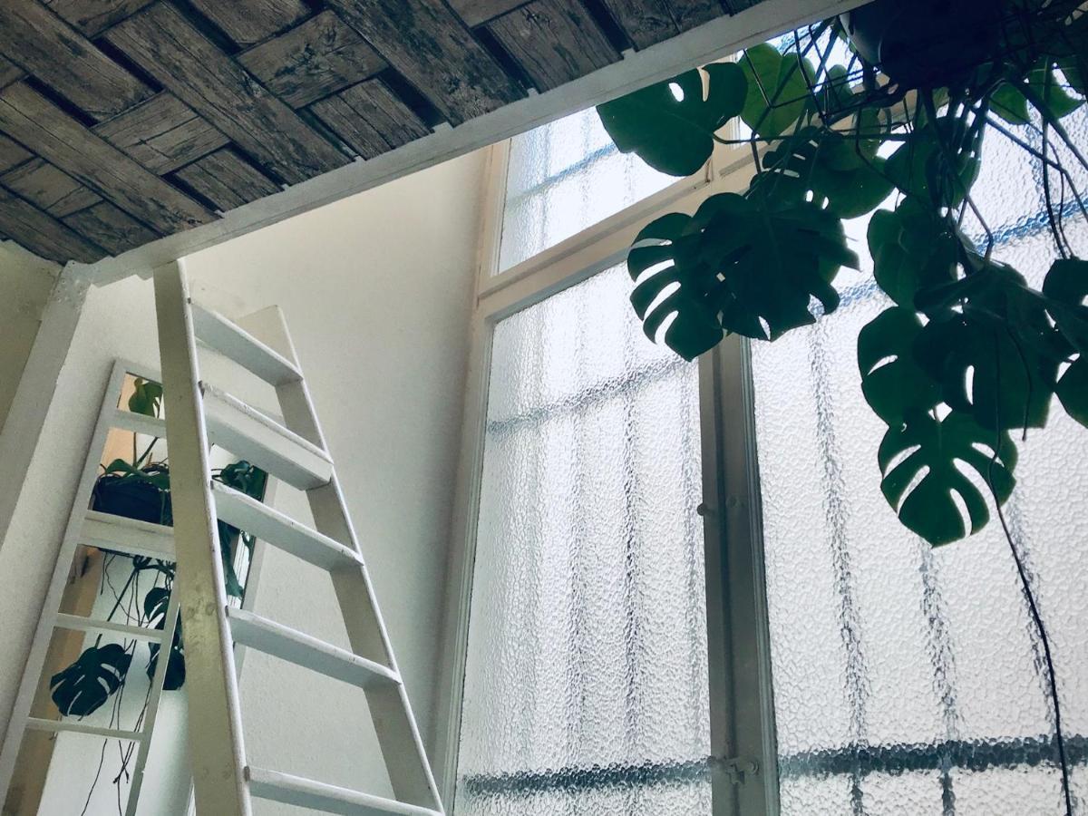Boutique Hostel Lekkerurlaub 柏林 外观 照片